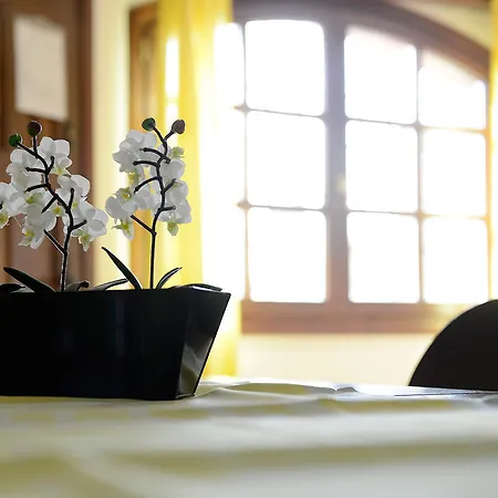 Apartment Bellavista